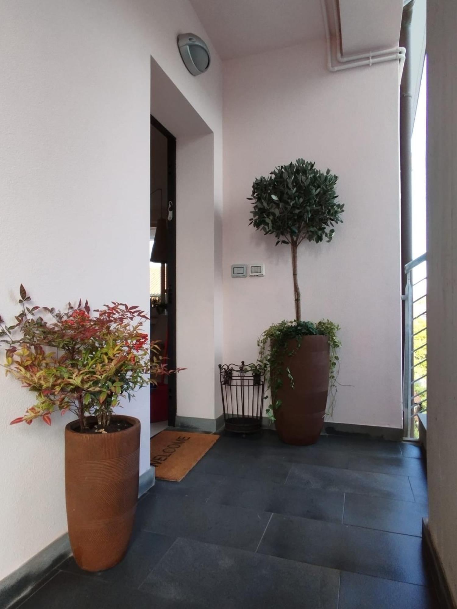 Apartment Casa Degli Aromi Lucca